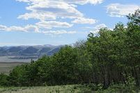 Undeveloped Land for sale in Park County, Colorado