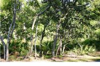 Property for sale in Gulf County, Florida