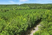 Undeveloped Land for sale in Claiborne Parish, Louisiana