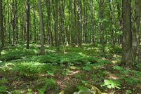 Property for sale in Florence County, Wisconsin