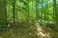 Undeveloped Land for sale in Windsor County, Vermont
