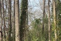 Undeveloped Land for sale in Richmond County, North Carolina