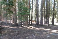 Property for sale in Calaveras County, California
