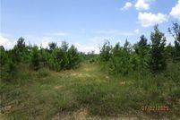 Property for sale in Grant Parish, Louisiana