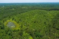 Undeveloped Land for sale in Walker County, Alabama