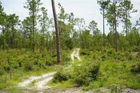 Undeveloped Land for sale in Levy County, Florida