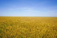 Property for sale in Kearny County, Kansas