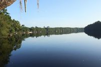 Undeveloped Land for sale in Dixie County, Florida