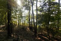 Undeveloped Land for sale in Lincoln County, Georgia