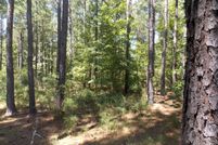 Undeveloped Land for sale in Lincoln County, Georgia