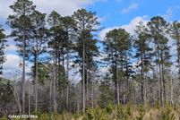 Undeveloped Land for sale in Union County, Arkansas
