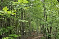 Property for sale in Osceola County, Michigan