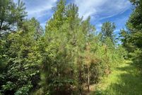 Undeveloped Land for sale in Ouachita County, Arkansas