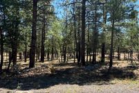 Undeveloped Land for sale in Coconino County, Arizona