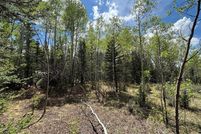 Undeveloped Land for sale in Park County, Colorado