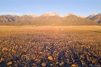 Undeveloped Land for sale in Saguache County, Colorado