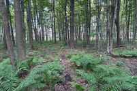 Undeveloped Land for sale in Oconto County, Wisconsin