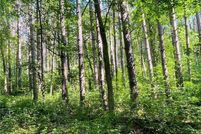 Undeveloped Land for sale in Pepin County, Wisconsin