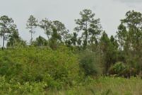 Property for sale in Lee County, Florida