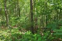 Lakefront Property for sale in Pickens County, Georgia