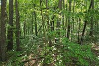 Lakefront Property for sale in Pickens County, Georgia