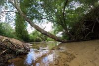 Lakefront Property for sale in Marion County, Mississippi