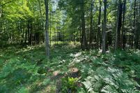 Undeveloped Land for sale in Alcona County, Michigan
