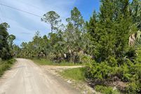 Undeveloped Land for sale in Taylor County, Florida