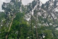 Property for sale in Shelby County, Texas