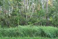 Undeveloped Land for sale in Pasquotank County, North Carolina