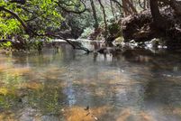 Lakefront Property for sale in White County, Georgia