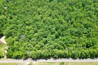 Undeveloped Land for sale in Butler County, Alabama