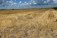 Property for sale in Marshall County, Illinois