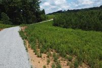 Undeveloped Land for sale in Monroe County, Tennessee