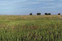 Property for sale in Wichita County, Texas