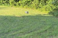 Property for sale in Prince William County, Virginia