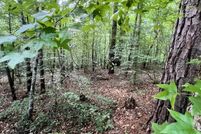 Undeveloped Land for sale in Tallapoosa County, Alabama