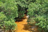 Undeveloped Land for sale in Walton County, Florida