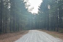 Undeveloped Land for sale in Carroll County, Georgia