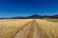 Undeveloped Land for sale in Millard County, Utah