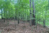 Undeveloped Land for sale in Burke County, Georgia