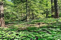 Property for sale in Sonoma County, California