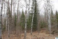Undeveloped Land for sale in Ashland County, Wisconsin
