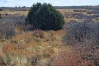 Property for sale in Dolores County, Colorado