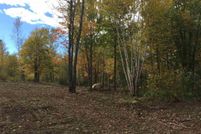 Undeveloped Land for sale in Saint Louis County, Minnesota