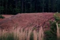 Undeveloped Land for sale in Claiborne Parish, Louisiana