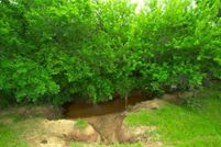 Property for sale in Montague County, Texas