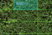 Undeveloped Land for sale in Polk County, Florida