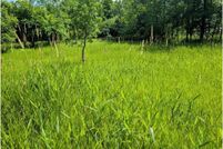 Undeveloped Land for sale in Todd County, Minnesota