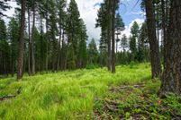 Undeveloped Land for sale in Flathead County, Montana